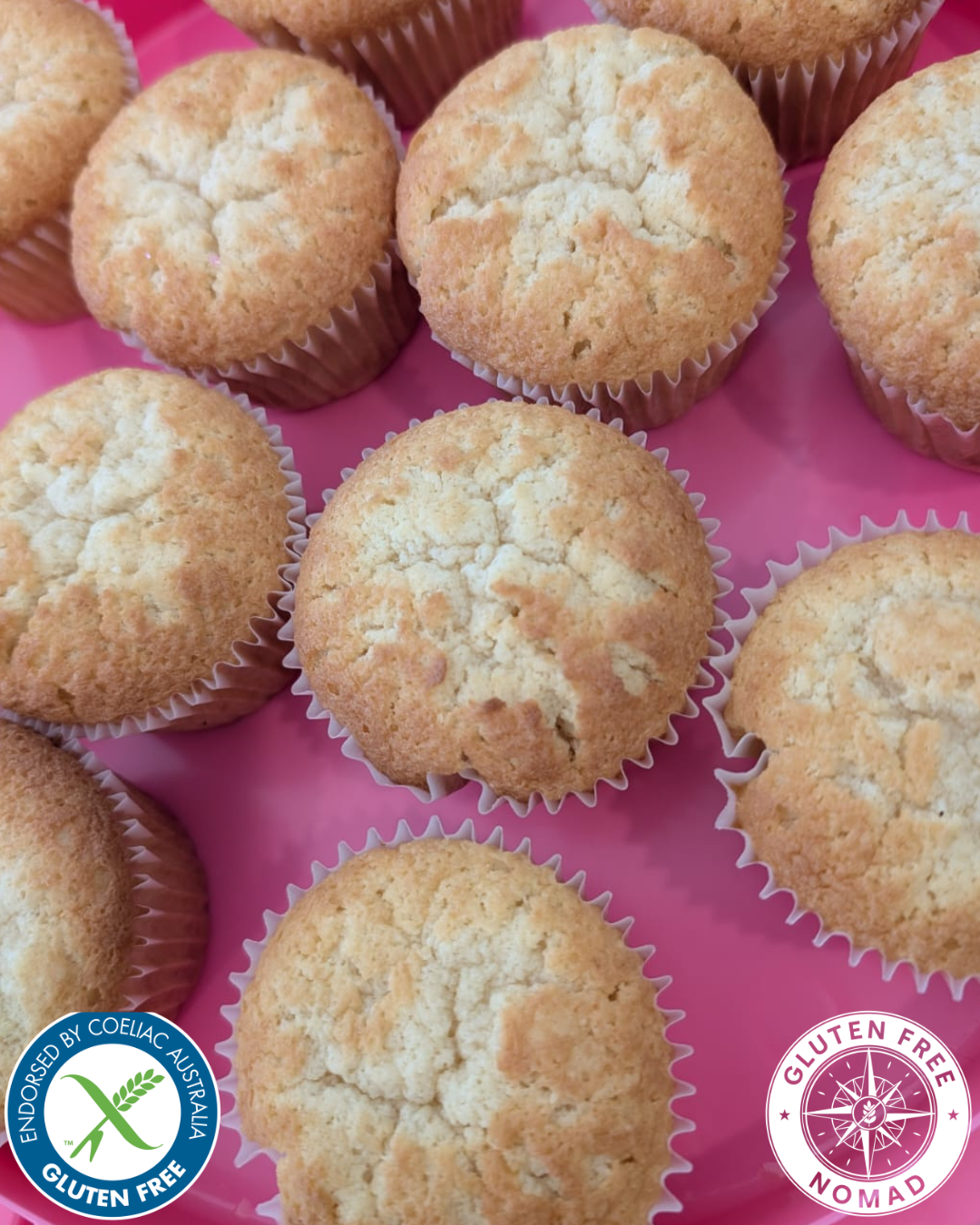 Easy gluten free vanilla muffins made with Gluten Free Nomad 1-to-1 gluten free flour